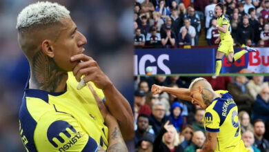 EPL: Tottenham climb out of drop zone with Aston Villa win