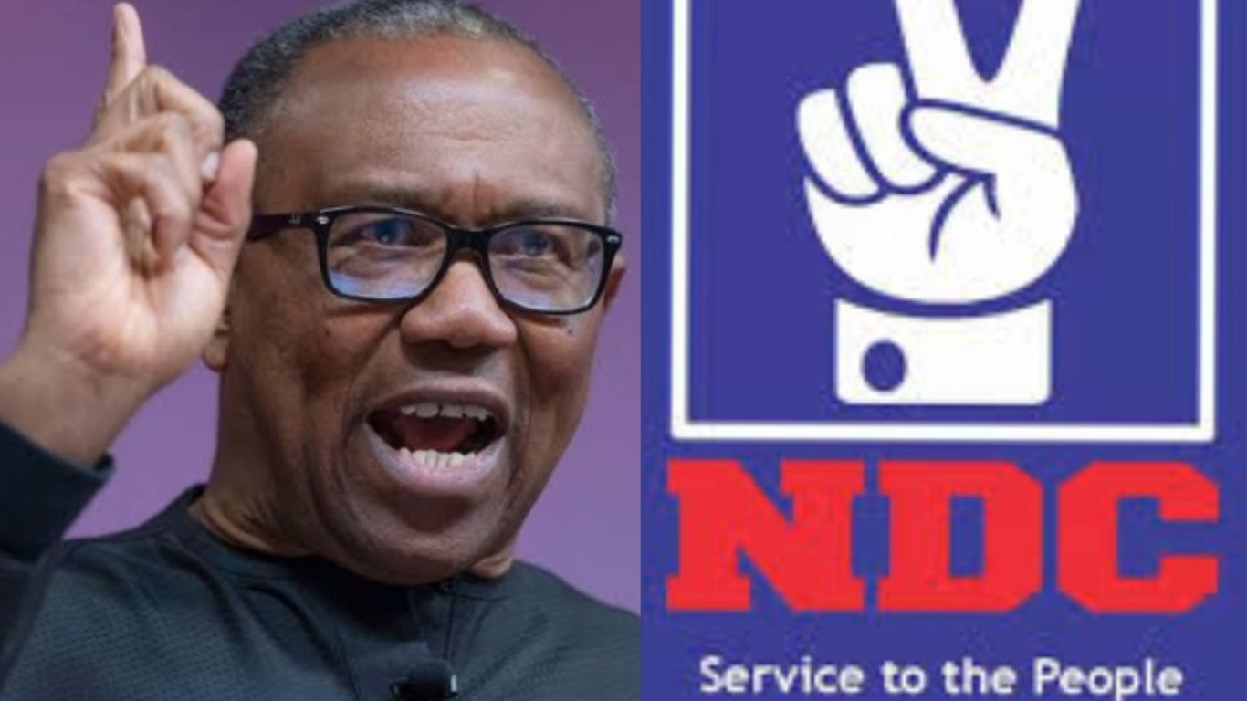 2027: Peter Obi gets major boost as NDC zones presidential ticket to South