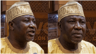 "It's not military that will truncate democracy, it's ordinary people on the street" — Senator warns