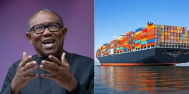 Peter Obi recalls leaving business interests after becoming governor