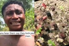 Man shocked as he sees tree covered in thousands of padlocks