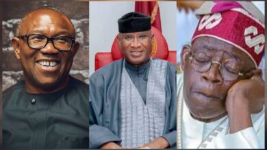 I endorse Peter Obi but still believe in Bola Tinubu’s policies — Omo-Agege