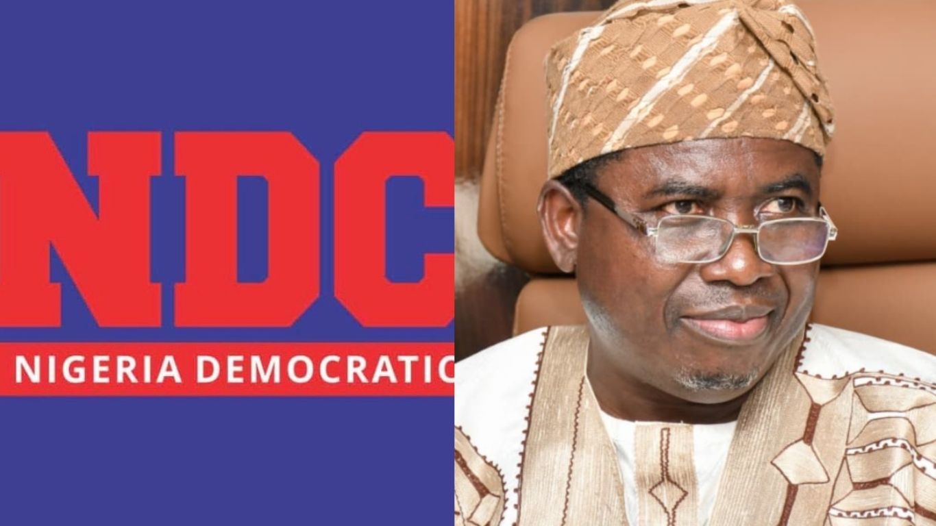 "INEC denied us access code to upload candidates" – NDC