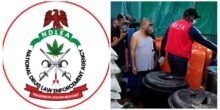 four-nigerians-arrested-as-ndlea-dismantles-multi-billionaire-naira-industrial-scale-meth-lab-in-oyo