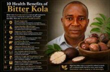 health-benefits-of-bitter-kola