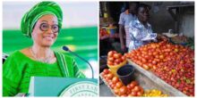 its-not-just-akara-fg-is-also-empowering-tomatoes-seller-remi-tinubu-replies-critics