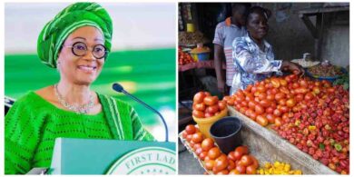 its-not-just-akara-fg-is-also-empowering-tomatoes-seller-remi-tinubu-replies-critics