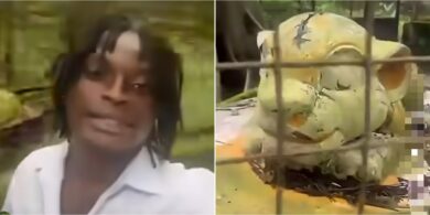 "I paid to see a lion" - Man shares video of what he saw at Port Harcourt Zoo