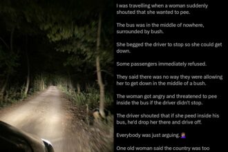 “Almost everybody got down to pee too” — Lady narrates how bus passengers reacted to woman's urgent request