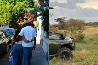 "What’s wrong with me?" — Lady breaks up with boyfriend after he stopped her from closing window in Safari