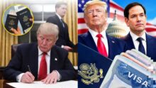 US revokes over 175,000 visas; here are 10 types of foreign nationals affected