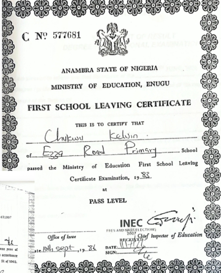 Senator Chizoba completed primary school at age 5 according to INEC documents