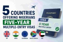 five-countries-offering-nigerians-five-year-multiple-entry-visas