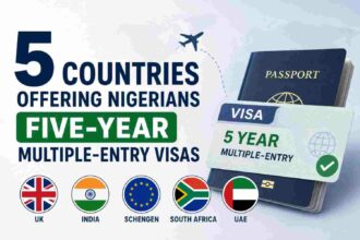 five-countries-offering-nigerians-five-year-multiple-entry-visas