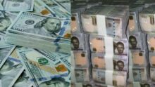 Naira to Dollar exchange rate today, Thursday, September 24, 2026