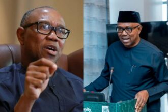 “What worries me is the people and how they will protect their votes” — Peter Obi speaks on 2027 election