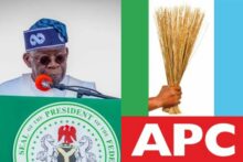 “We will go to the nooks and crannies of Lagos” — Sanwo-Olu rallies support for Tinubu