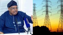 “Slow down, everything in our freezer is freezing” – Minister of Power reveals Nigerians’ reaction to improved electricity