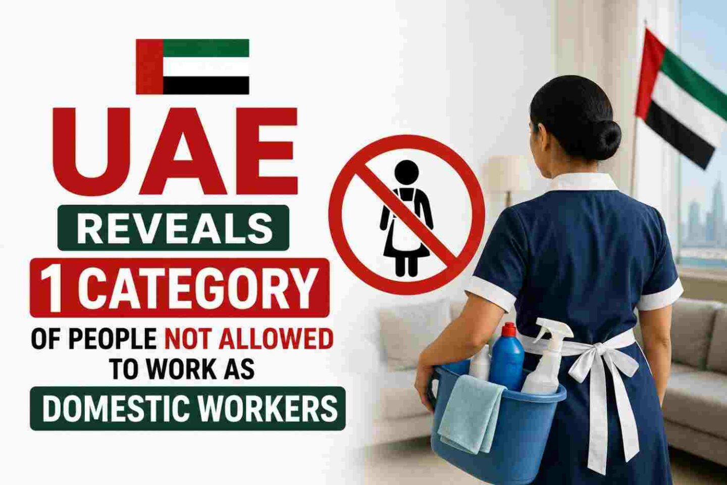 uae-reveals-1-category-of-people-not-allowed-to-work-as-domestic-workers