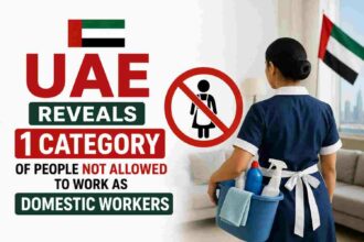 uae-reveals-1-category-of-people-not-allowed-to-work-as-domestic-workers
