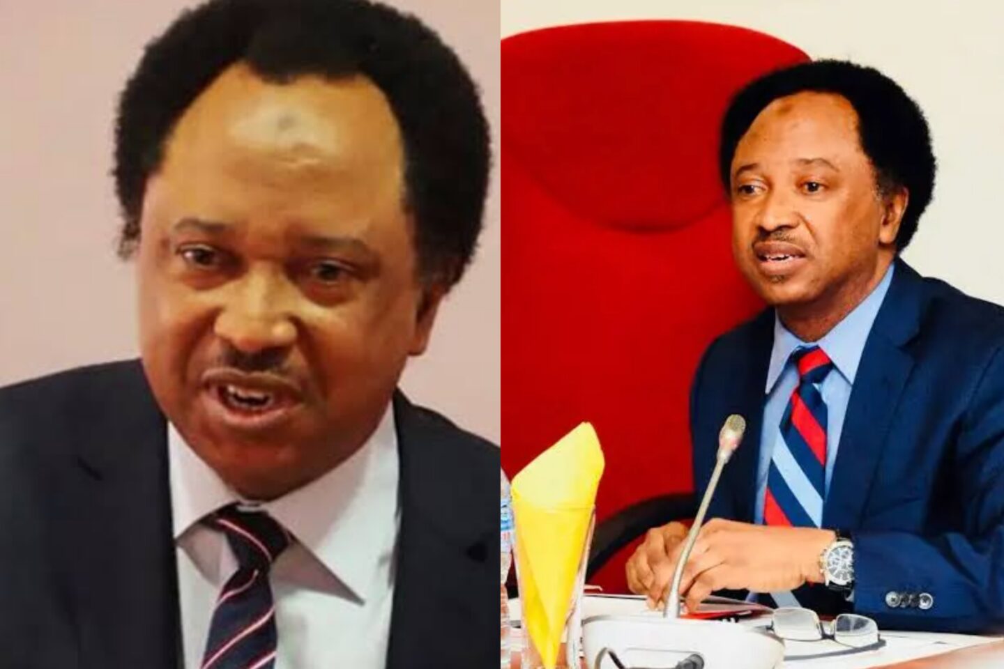 "It’s dangerous to seize power from South in 2027" — Shehu Sani warns