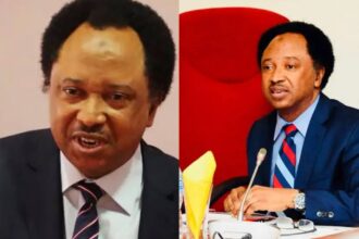 "It’s dangerous to seize power from South in 2027" — Shehu Sani warns